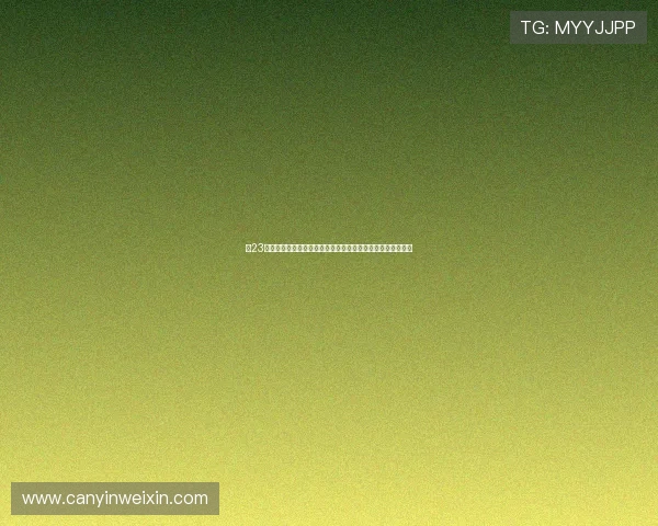 以23赛季下课主帅为样本解析丁伟定律是否持续应验职业联赛走向